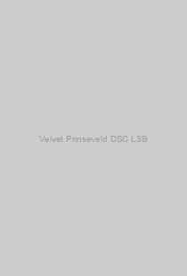 Velvet Prinseveld DSC L3B